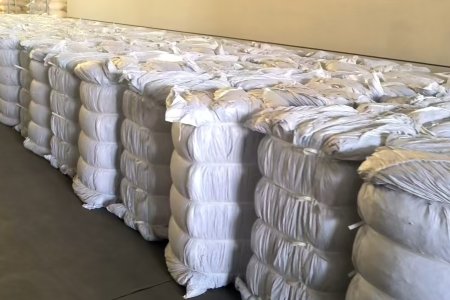 From Sorting to Shipping: A Look at Our Standardized Export Process